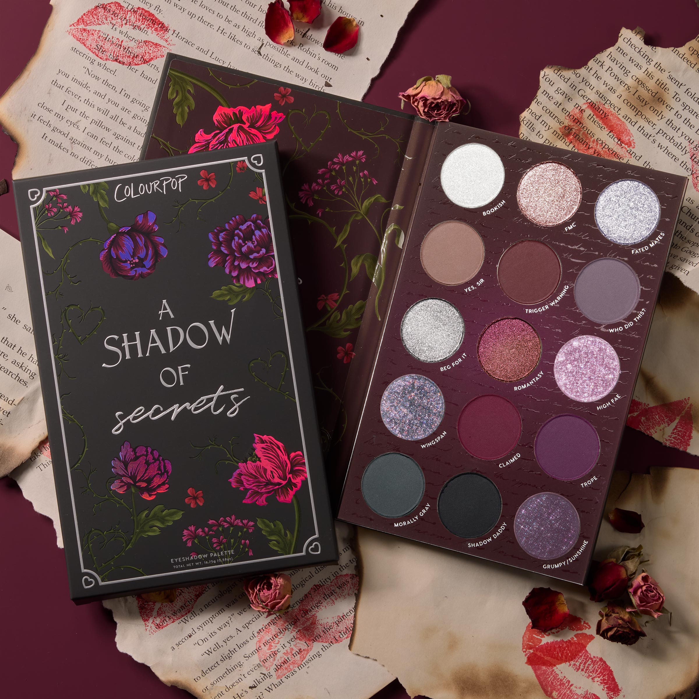 A Shadow of Secrets